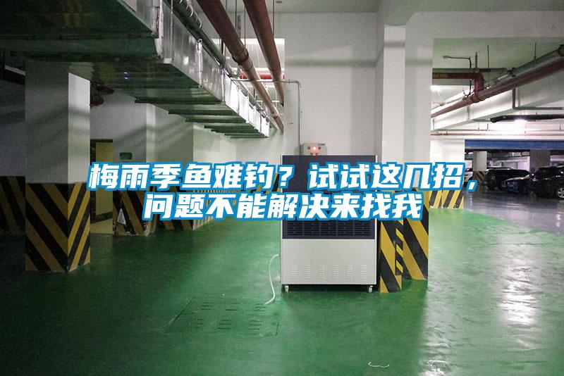 梅雨季魚(yú)難釣？試試這幾招，問(wèn)題不能解決來(lái)找我