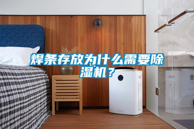 焊條存放為什么需要除濕機？