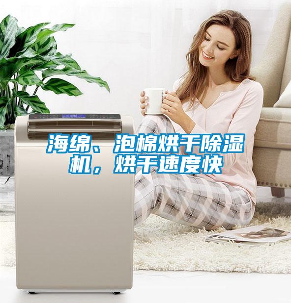 海綿、泡棉烘干除濕機(jī)，烘干速度快
