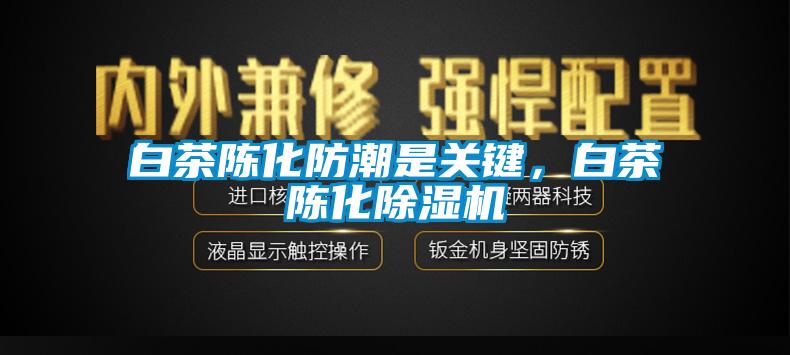 白茶陳化防潮是關(guān)鍵，白茶陳化除濕機(jī)