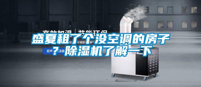 盛夏租了個沒空調(diào)的房子？除濕機了解一下