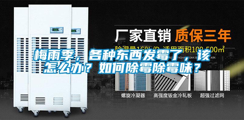 梅雨季，各種東西發(fā)霉了，該怎么辦？如何除霉除霉味？