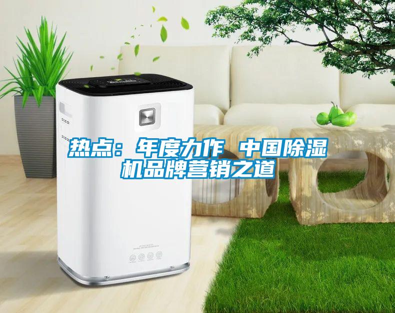 熱點(diǎn)：年度力作 中國除濕機(jī)品牌營銷之道