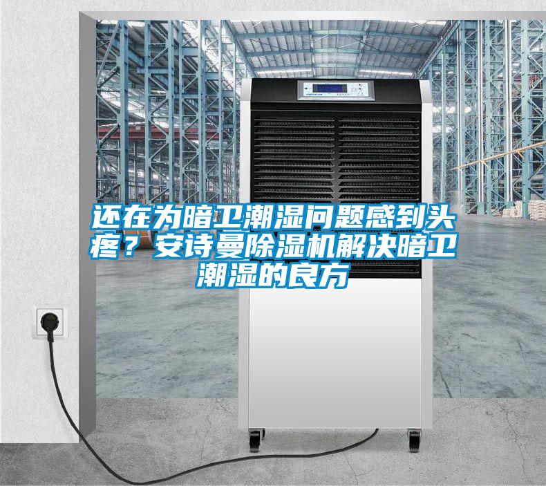 還在為暗衛(wèi)潮濕問題感到頭疼？安詩曼除濕機解決暗衛(wèi)潮濕的良方