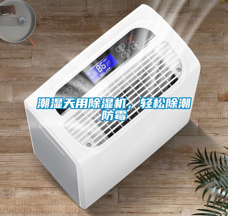 潮濕天用除濕機，輕松除潮防霉