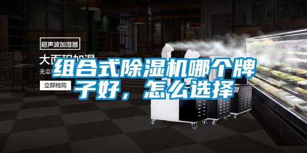 組合式除濕機(jī)哪個牌子好，怎么選擇