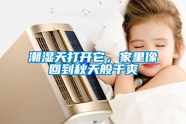 潮濕天打開它，家里像回到秋天般干爽