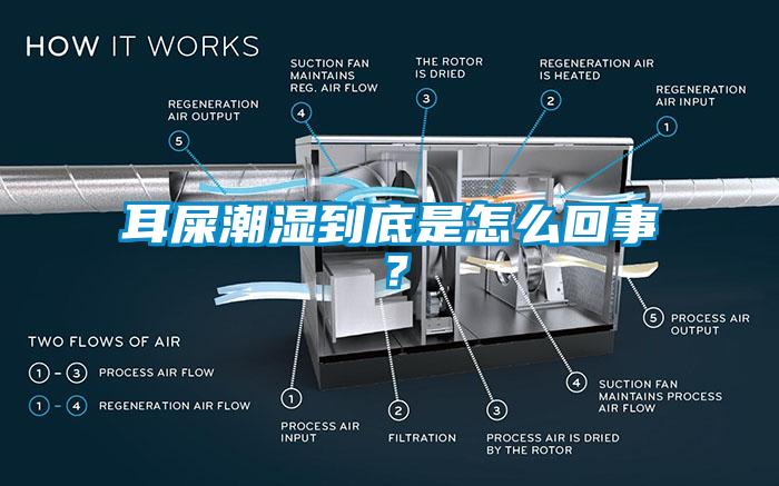 耳屎潮濕到底是怎么回事？