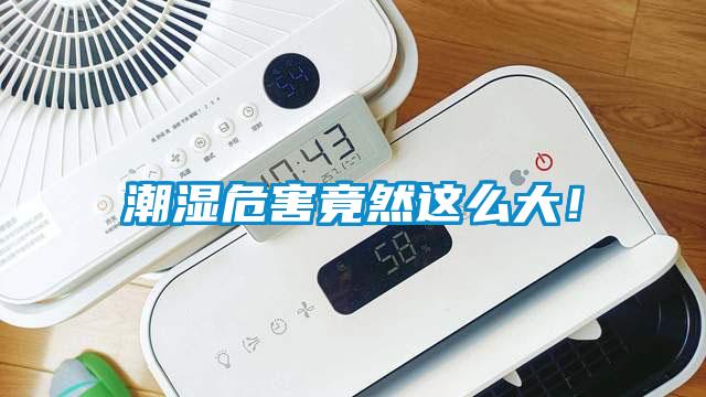 潮濕危害竟然這么大！