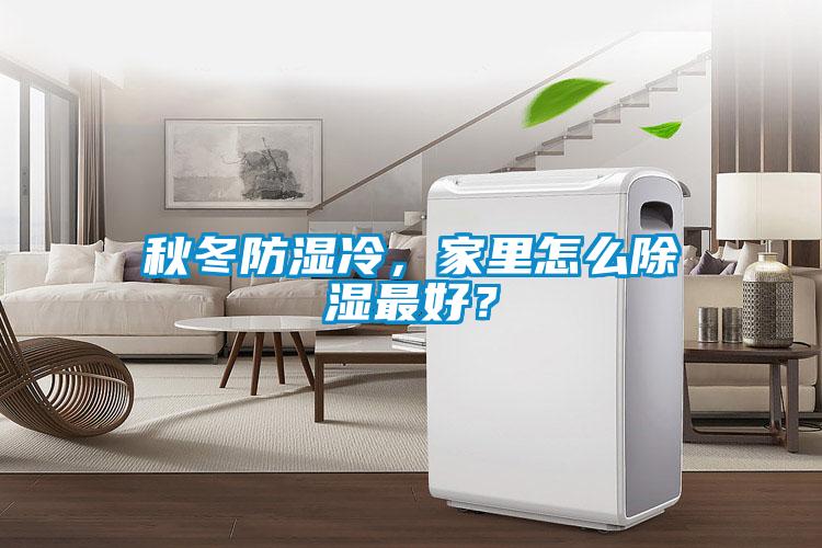 秋冬防濕冷，家里怎么除濕最好？