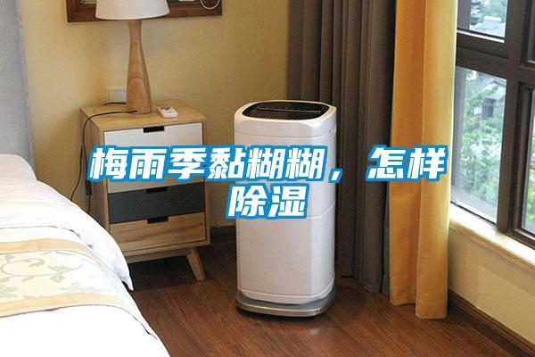 梅雨季黏糊糊，怎樣除濕