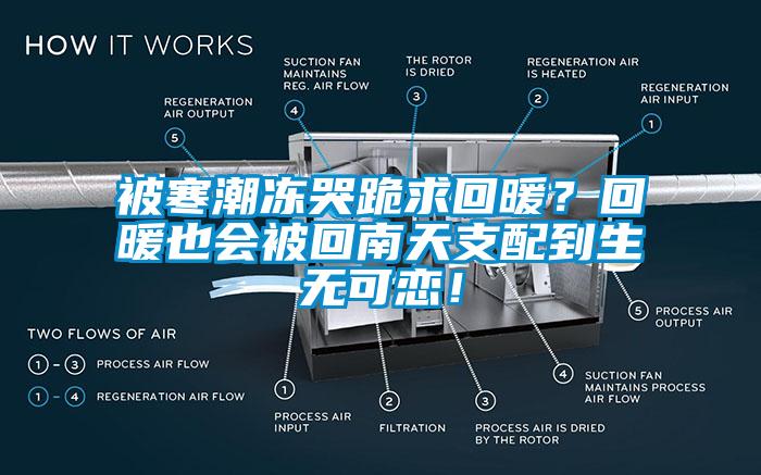 被寒潮凍哭跪求回暖？回暖也會(huì)被回南天支配到生無(wú)可戀！