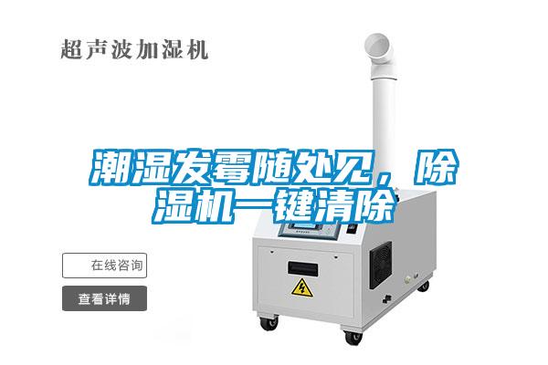 潮濕發(fā)霉隨處見，除濕機(jī)一鍵清除