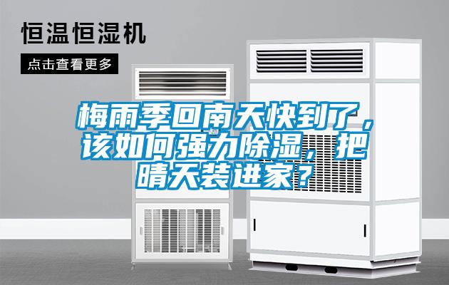 梅雨季回南天快到了，該如何強(qiáng)力除濕，把晴天裝進(jìn)家？