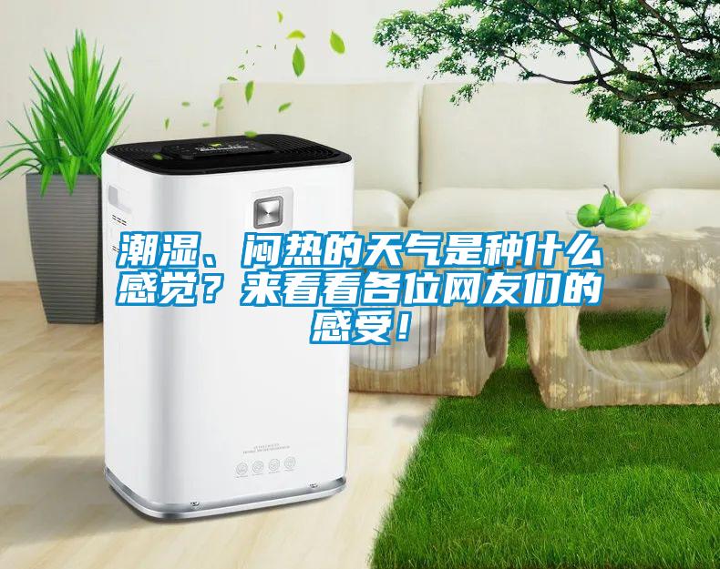潮濕、悶熱的天氣是種什么感覺？來看看各位網(wǎng)友們的感受！