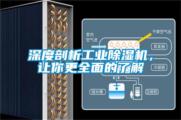 深度剖析工業(yè)除濕機(jī)，讓你更全面的了解