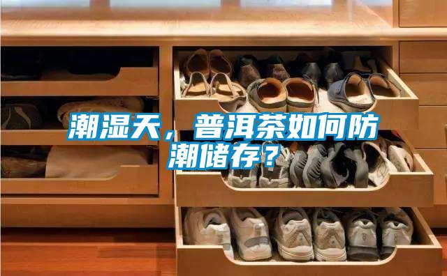 潮濕天，普洱茶如何防潮儲存？
