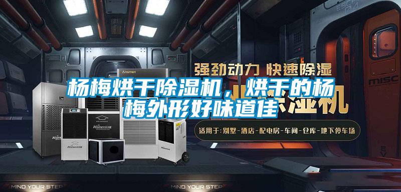 楊梅烘干除濕機，烘干的楊梅外形好味道佳