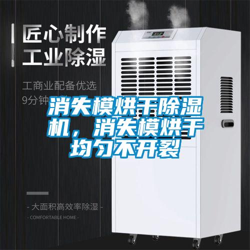 消失模烘干除濕機(jī)，消失模烘干均勻不開裂