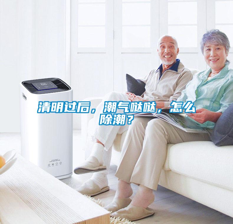 清明過后，潮氣噠噠，怎么除潮？