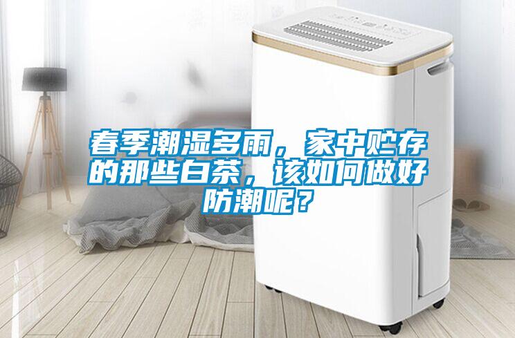 春季潮濕多雨，家中貯存的那些白茶，該如何做好防潮呢？
