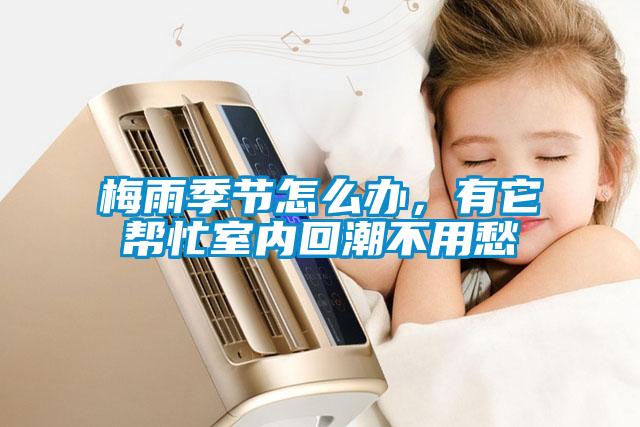 梅雨季節(jié)怎么辦，有它幫忙室內(nèi)回潮不用愁