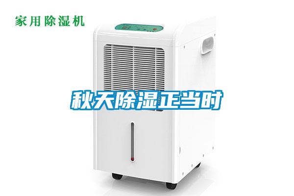 秋天除濕正當(dāng)時