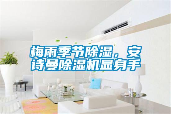 梅雨季節(jié)除濕，安詩曼除濕機(jī)顯身手