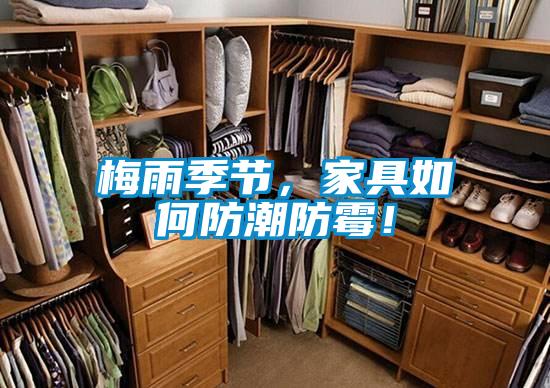 梅雨季節(jié)，家具如何防潮防霉！
