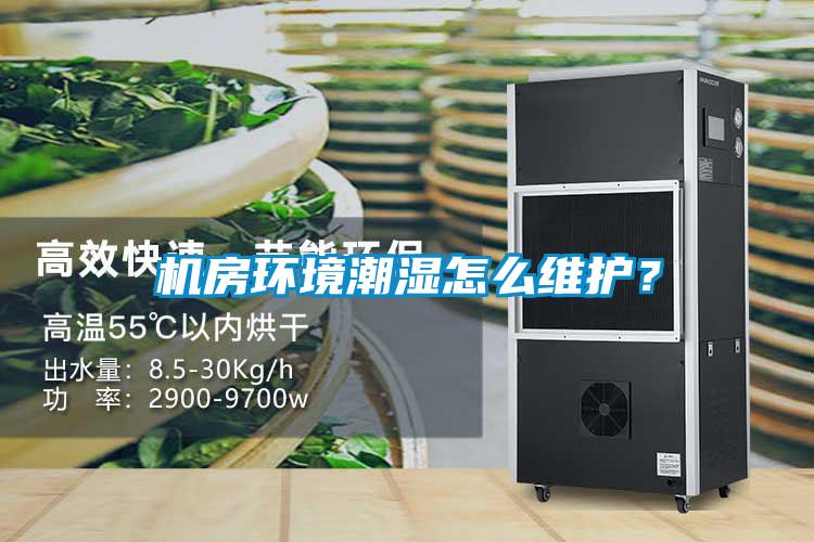 機房環(huán)境潮濕怎么維護？