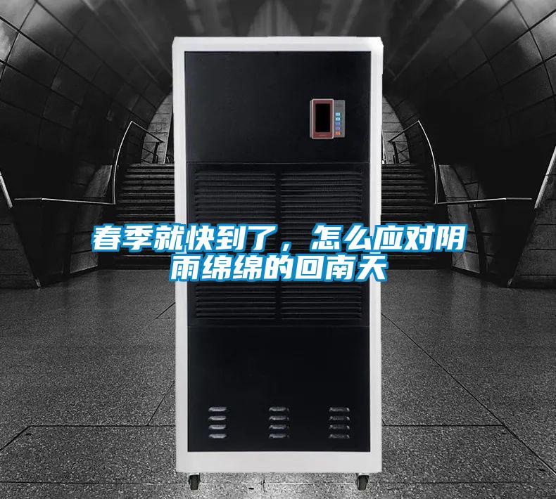 春季就快到了，怎么應對陰雨綿綿的回南天