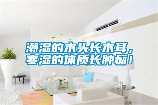 潮濕的木頭長(zhǎng)木耳，寒濕的體質(zhì)長(zhǎng)腫瘤！