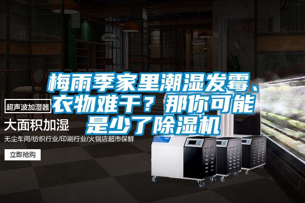 梅雨季家里潮濕發(fā)霉、衣物難干？那你可能是少了除濕機(jī)