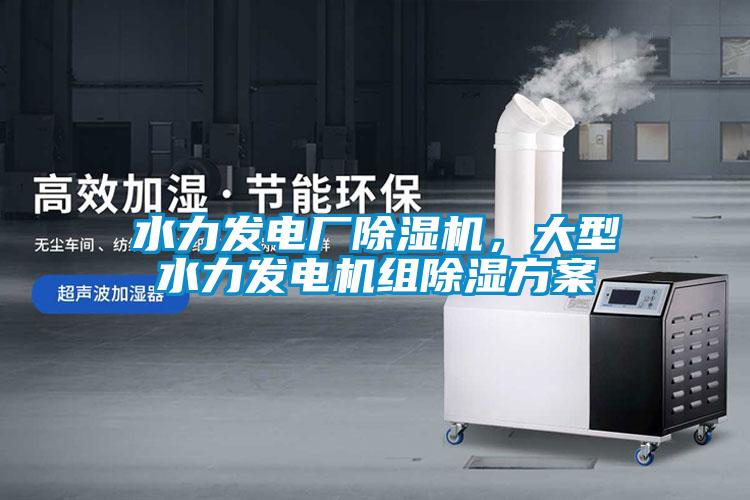 水力發(fā)電廠除濕機(jī)，大型水力發(fā)電機(jī)組除濕方案
