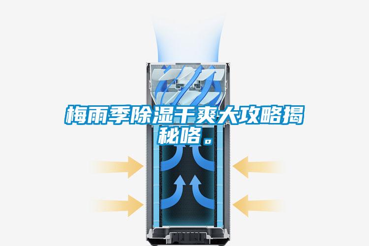 梅雨季除濕干爽大攻略揭秘咯。