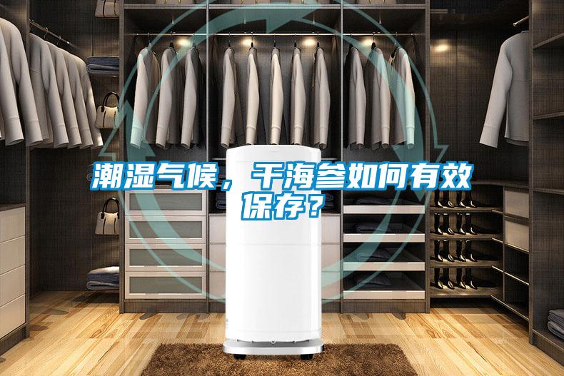 潮濕氣候，干海參如何有效保存？