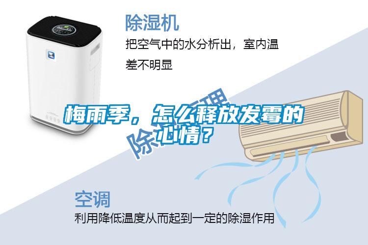 梅雨季，怎么釋放發(fā)霉的心情？