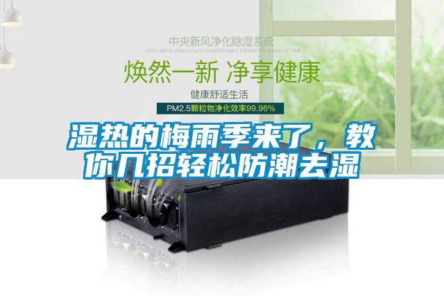 濕熱的梅雨季來了，教你幾招輕松防潮去濕