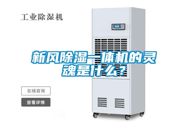 新風(fēng)除濕一體機(jī)的靈魂是什么？