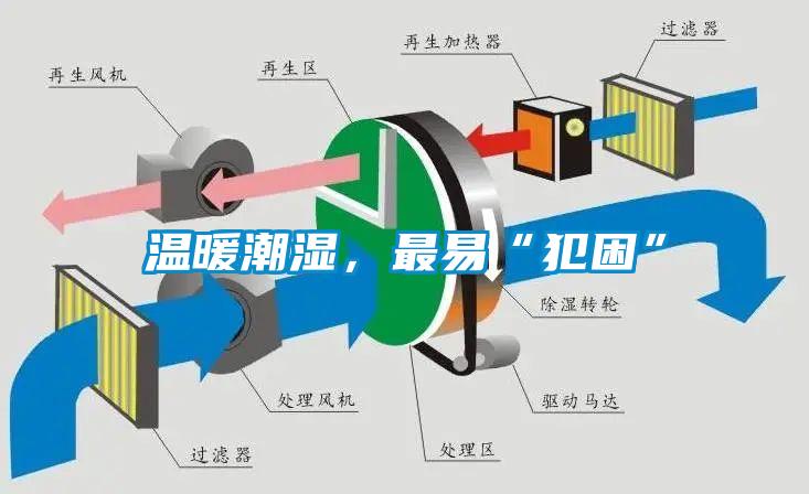 溫暖潮濕，最易“犯困”