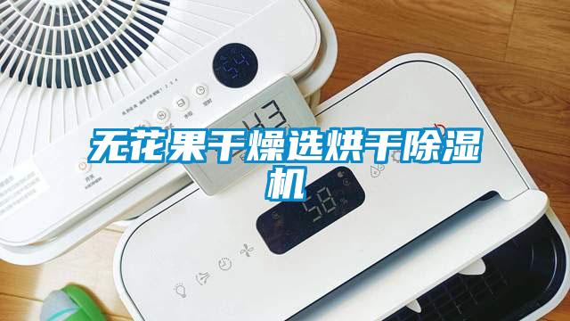 無(wú)花果干燥選烘干除濕機(jī)