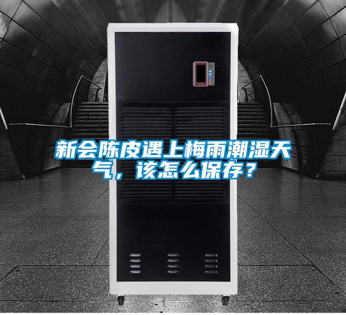 新會陳皮遇上梅雨潮濕天氣，該怎么保存？