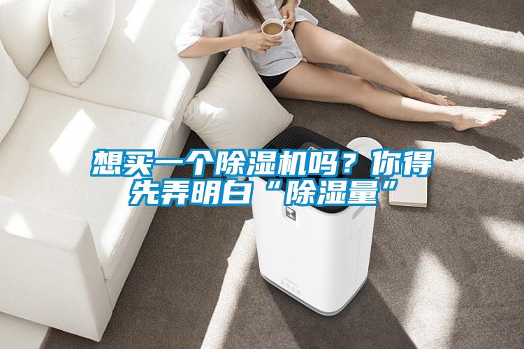 想買一個(gè)除濕機(jī)嗎？你得先弄明白“除濕量”