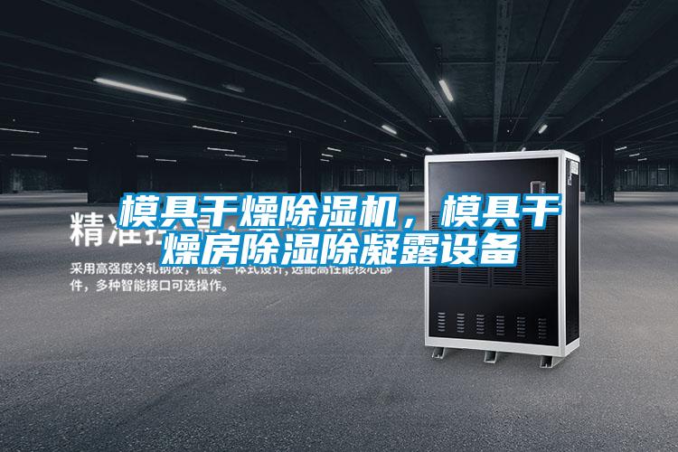 模具干燥除濕機，模具干燥房除濕除凝露設備