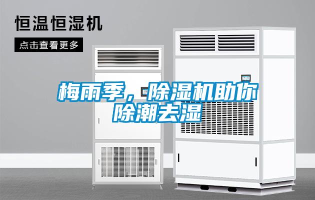梅雨季，除濕機(jī)助你除潮去濕
