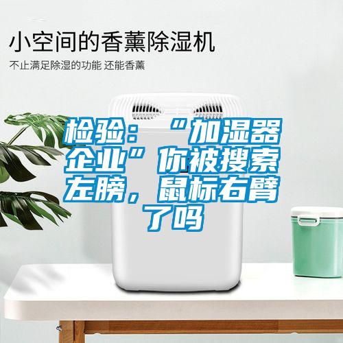 檢驗(yàn)：“加濕器企業(yè)”你被搜索左膀，鼠標(biāo)右臂了嗎