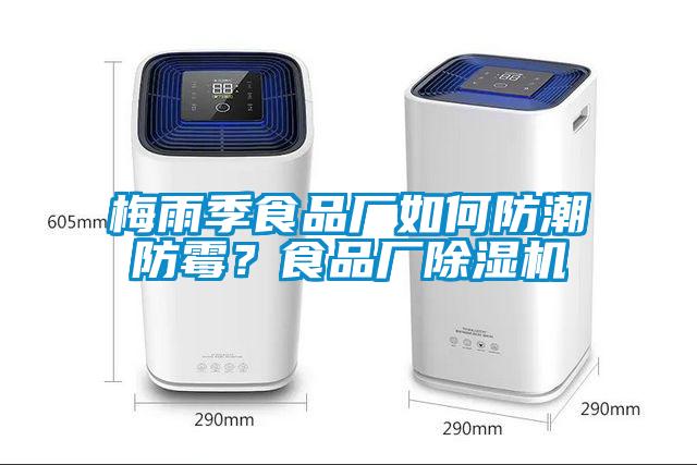 梅雨季食品廠如何防潮防霉？食品廠除濕機