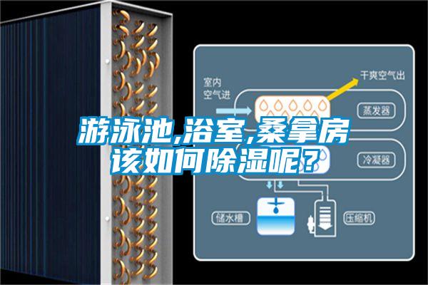 游泳池,浴室,桑拿房該如何除濕呢？