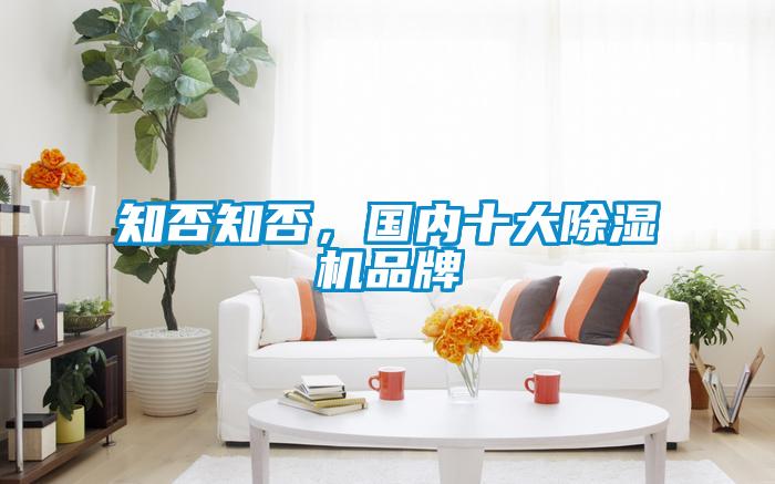 知否知否，國(guó)內(nèi)十大除濕機(jī)品牌