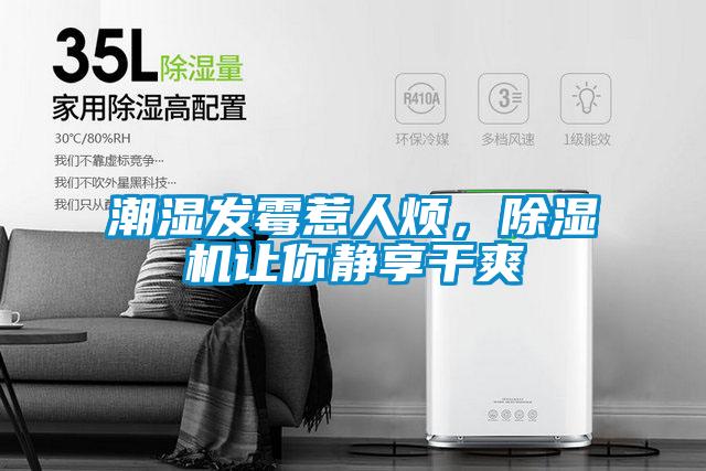 潮濕發(fā)霉惹人煩，除濕機(jī)讓你靜享干爽
